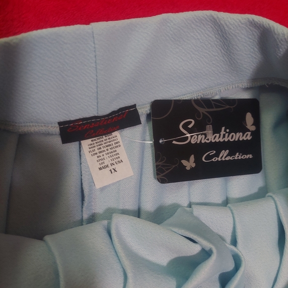 Sensationa Collection Pleated Skirt - Picture 3 of 3